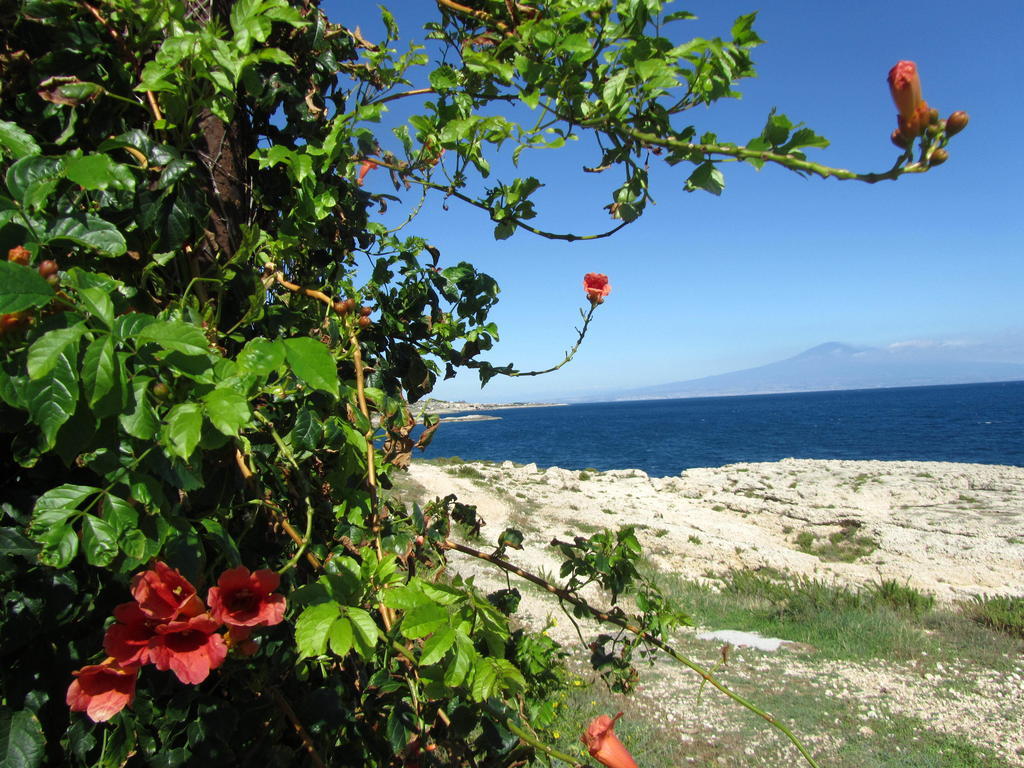 Villa Sicily Sul Mare Tra Catania E Siracusa Augusta Oda fotoğraf